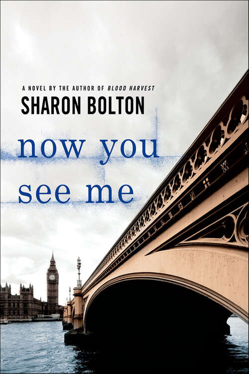 Book cover of Now You See Me (Lacey Flint Series)