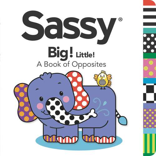 Book cover of Big! Little!: A Book of Opposites (Sassy)