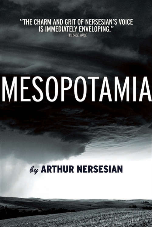 Book cover of Mesopotamia