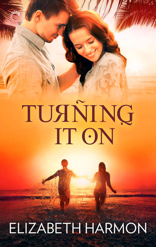 Book cover of Turning It On