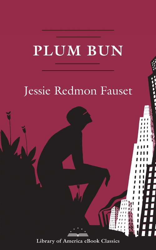 Book cover of Plum Bun: A Novel Without a Moral