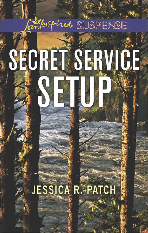 Book cover of Secret Service Setup: Night Stalker Treacherous Trails Secret Service Setup (The Security Specialists #2)