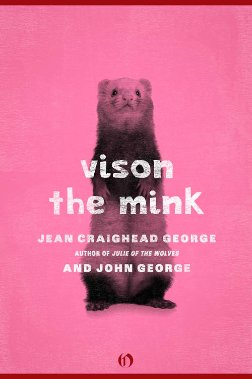 Vison, the Mink