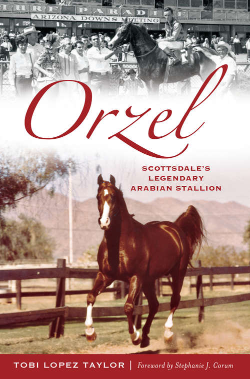 Orzel: Scottsdale's Legendary Arabian Stallion (Sports)