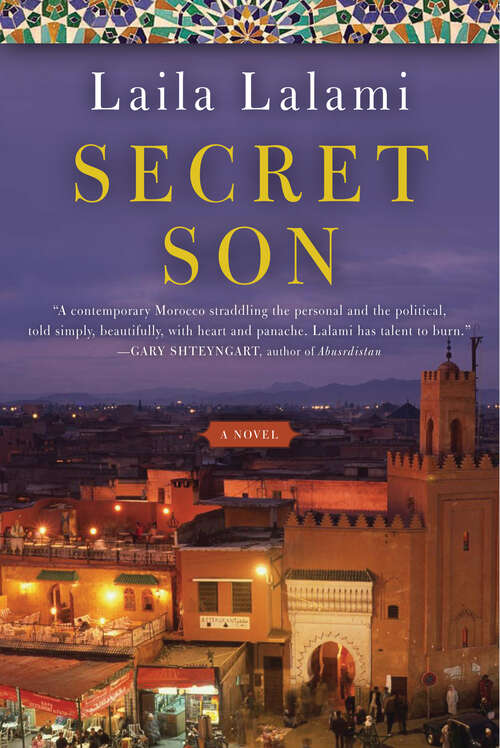 Book cover of Secret Son