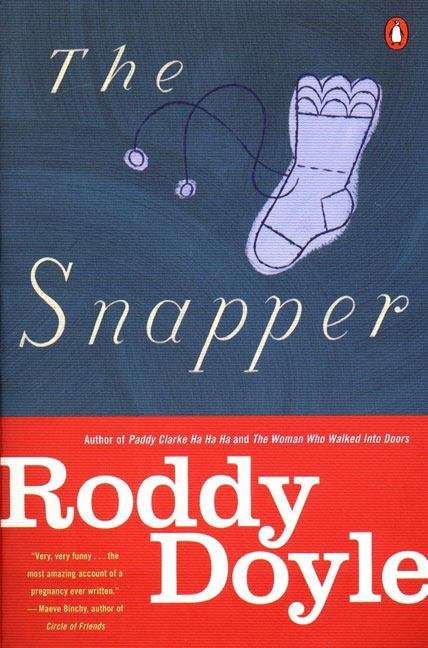 Book cover of The Snapper