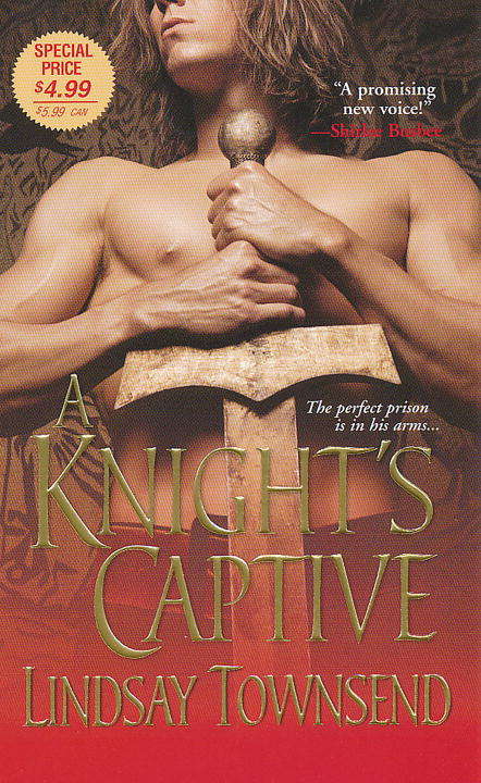 Book cover of A Knight's Captive