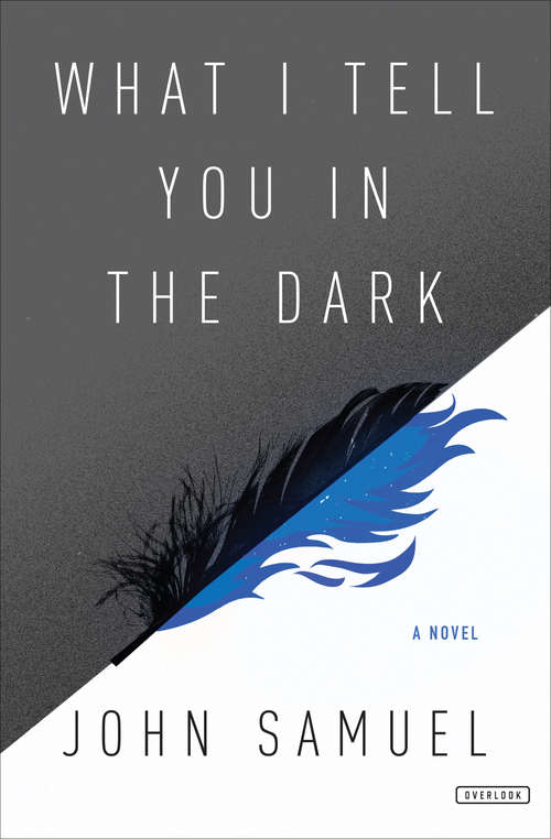 Book cover of What I Tell You In the Dark: A Novel