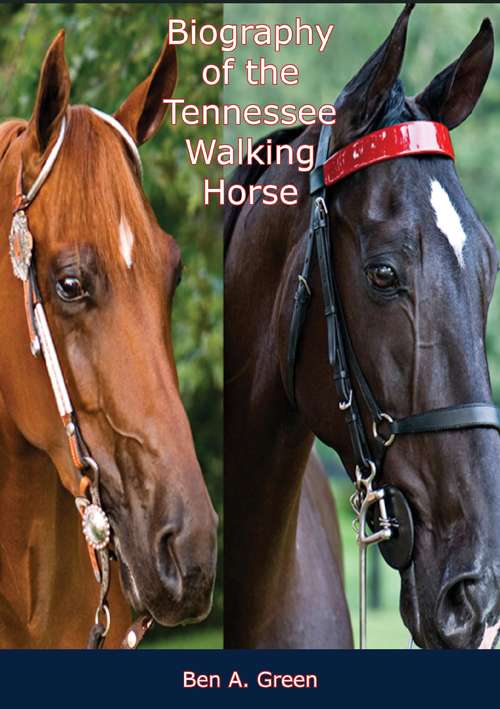Biography of the Tennessee Walking Horse