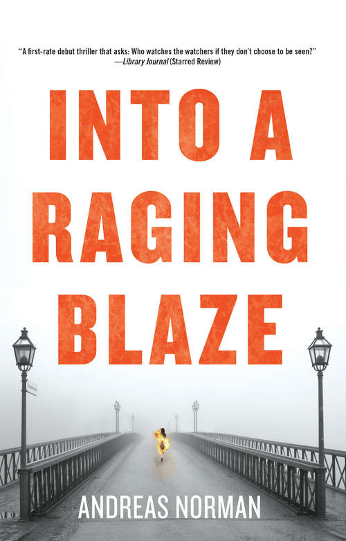 Book cover of Into a Raging Blaze