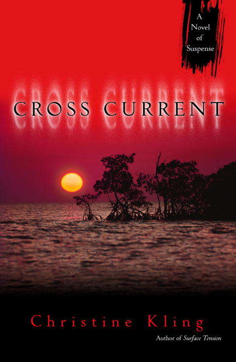 Book cover of Cross Current
