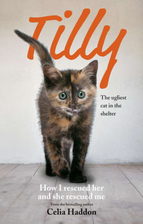 Book cover of Tilly: How I Rescued Her and She Rescued Me