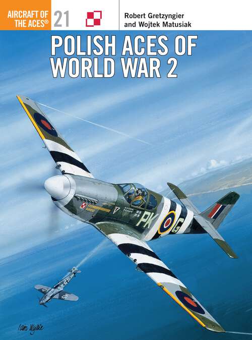 Book cover of Polish Aces of World War 2
