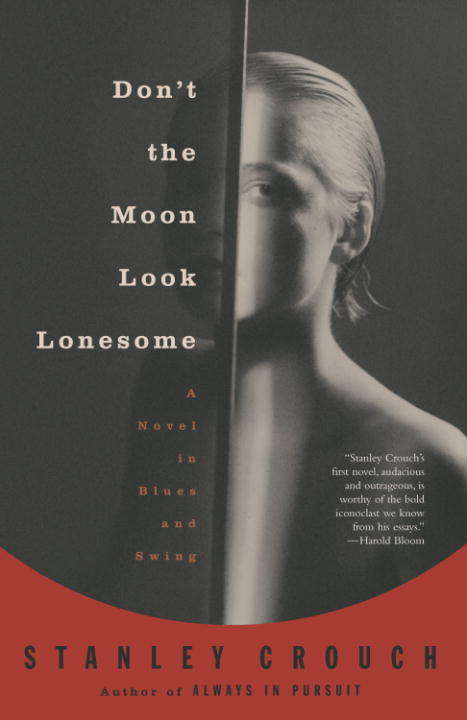 Book cover of Don't the Moon Look Lonesome