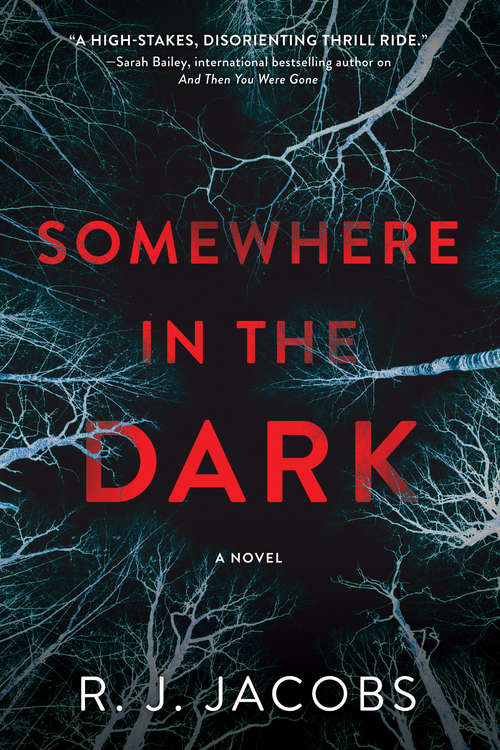 Somewhere in the Dark: A Novel