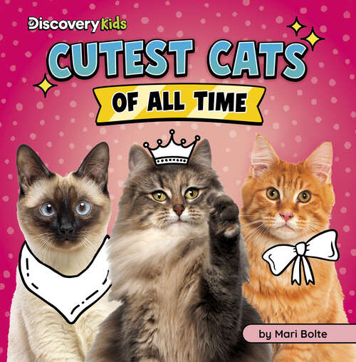 Book cover of Cutest Cats of All Time