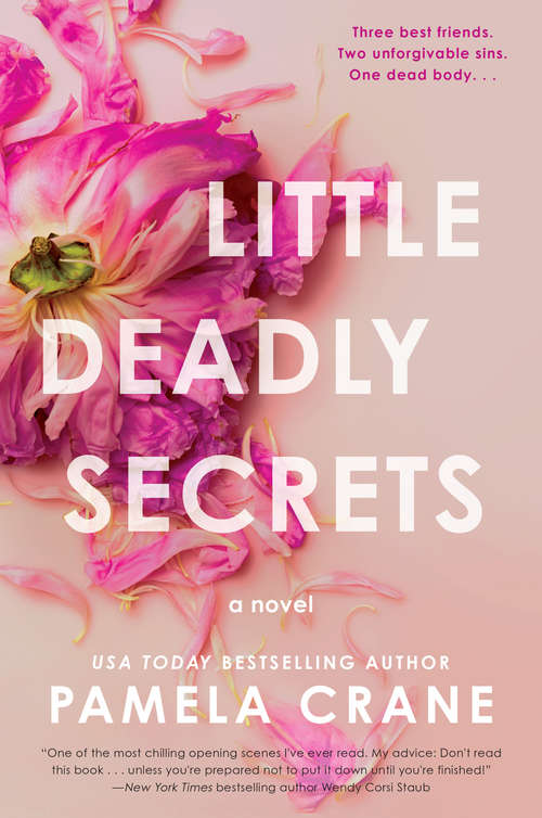 Book cover of Little Deadly Secrets: A Novel