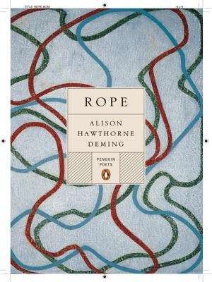 Book cover of Rope