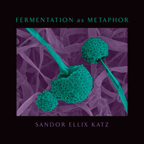 Book cover of Fermentation as Metaphor: From the Author of the Bestselling The Art of Fermentation