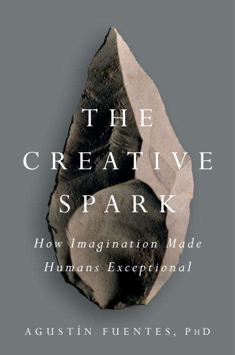 Book cover of The Creative Spark: How Imagination Made Humans Exceptional