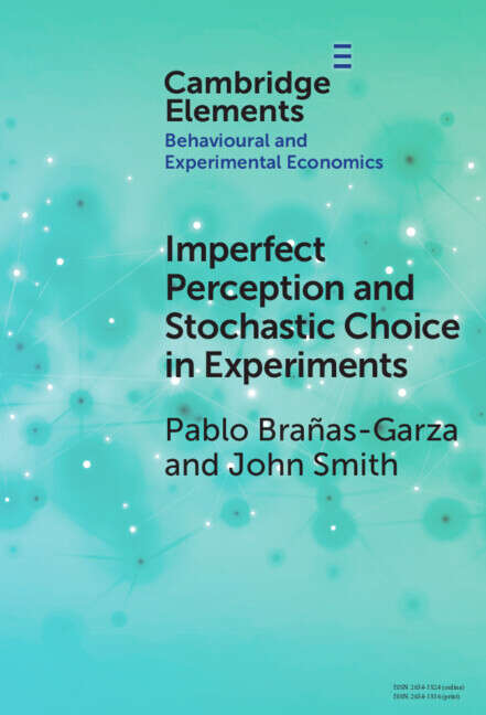 Book cover of Behavioural and Experimental Economics: Imperfect Perception and Stochastic Choice in Experiments