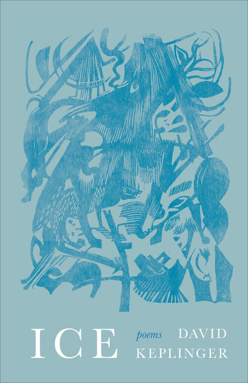 Book cover of Ice: Poems