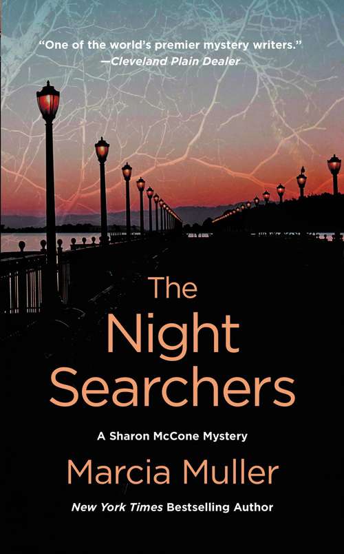 Book cover of The Night Searchers