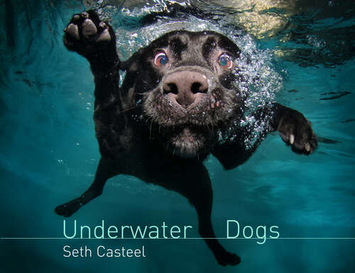 Book cover of Underwater Dogs