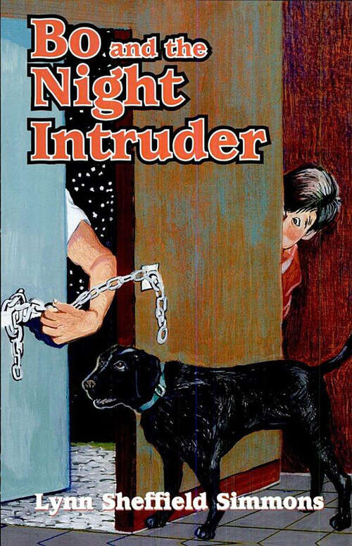 Book cover of Bo and the Night Intruder (The Bo Series)