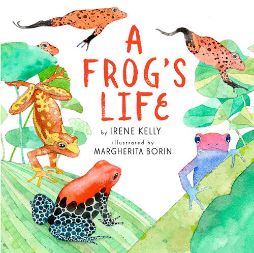 Book cover of A Frog's Life