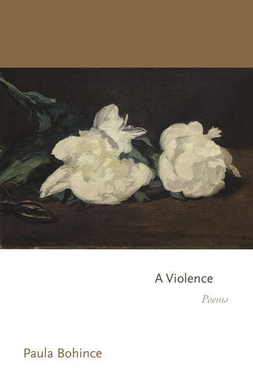 Book cover of A Violence: Poems