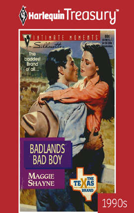 Book cover of Badlands Bad Boy