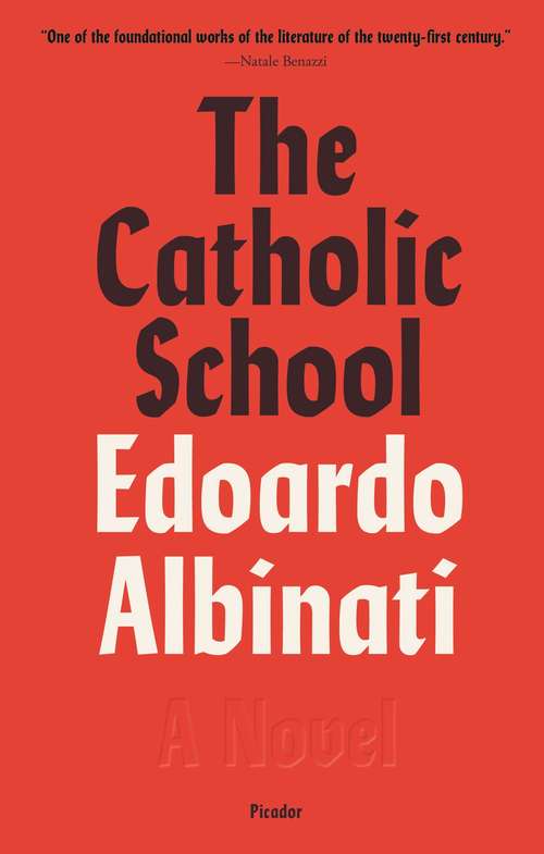 Book cover of The Catholic School: A Novel