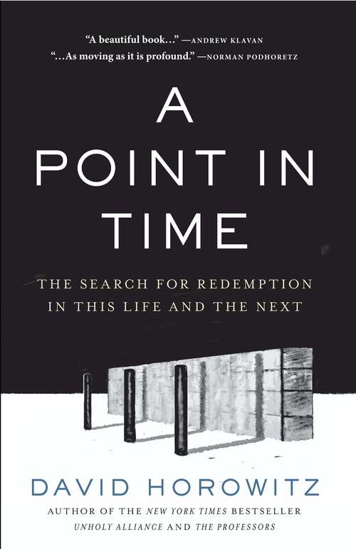 Book cover of A Point in Time: The Search for Redemption in This Life and the Next