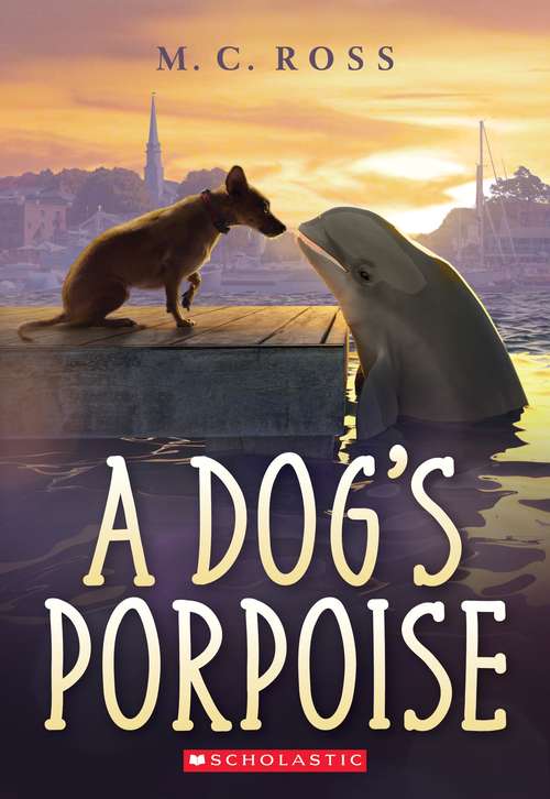 A Dogs Porpoise