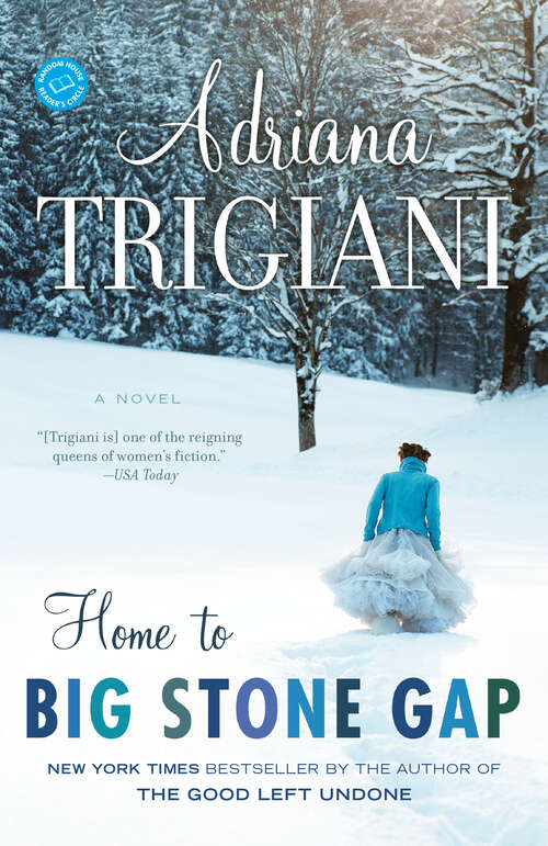 Book cover of Home to Big Stone Gap: A Novel (Big Stone Gap #4)