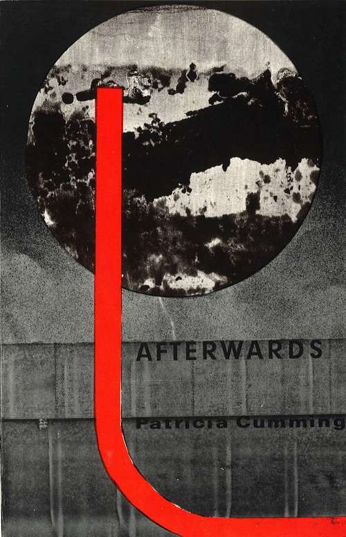 Book cover of Afterwards