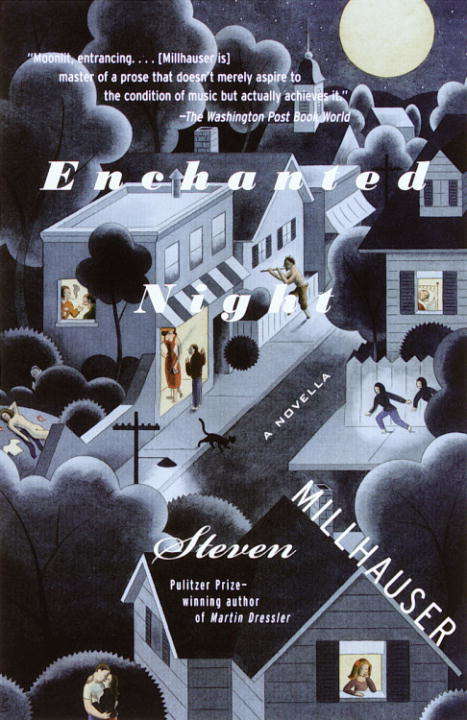 Book cover of Enchanted Night