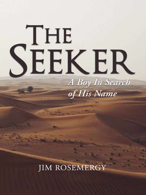 Book cover of The Seeker: A Boy In Search Of His Name