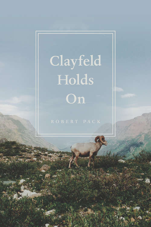 Book cover of Clayfeld Holds On