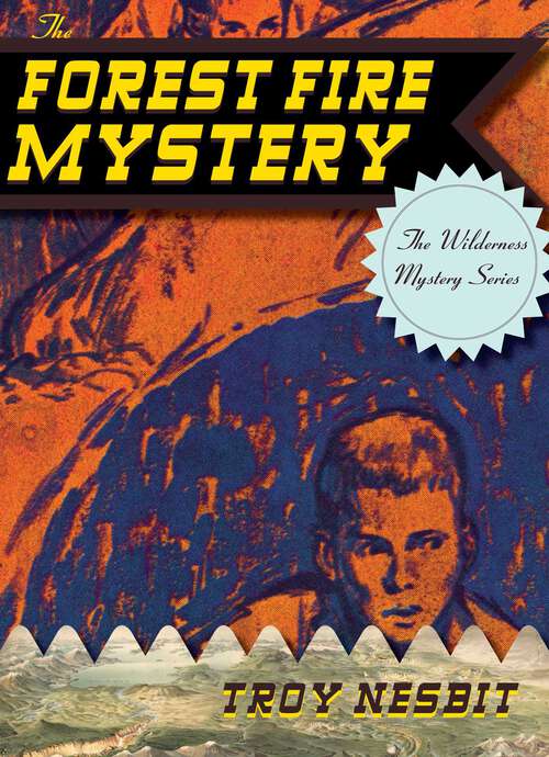 Book cover of The Forest Fire Mystery (The Wilderness Mystery Series)