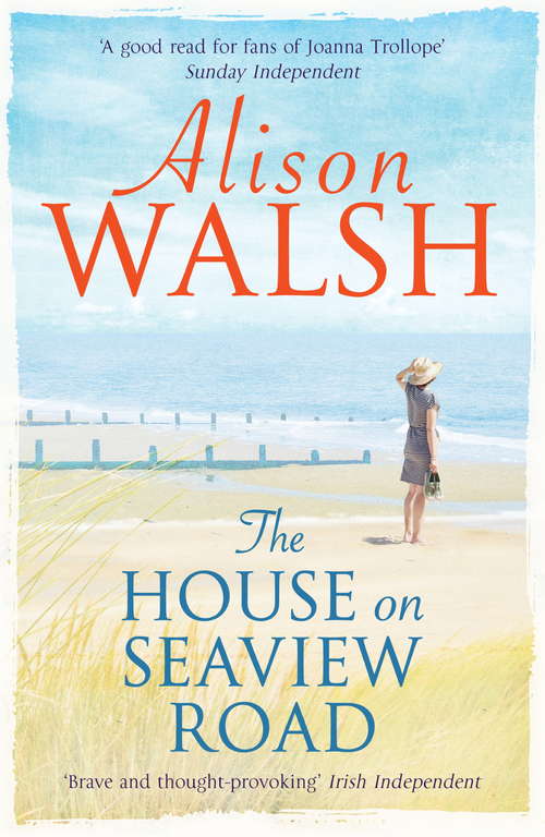 Book cover of The House on Seaview Road