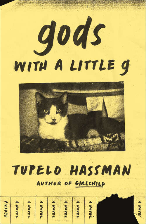 Book cover of gods with a little g: A Novel