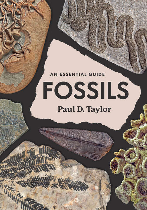 Book cover of Fossils: An Essential Guide