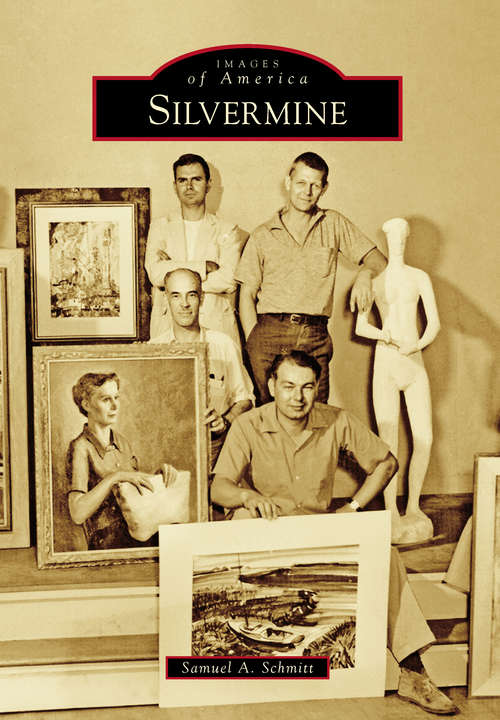 Book cover of Silvermine