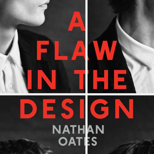 Book cover of A Flaw in the Design