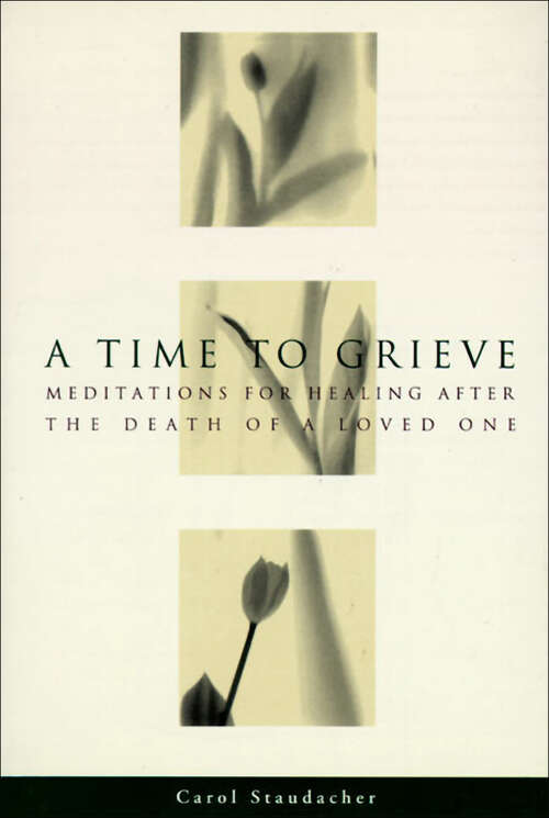 Book cover of A Time to Grieve