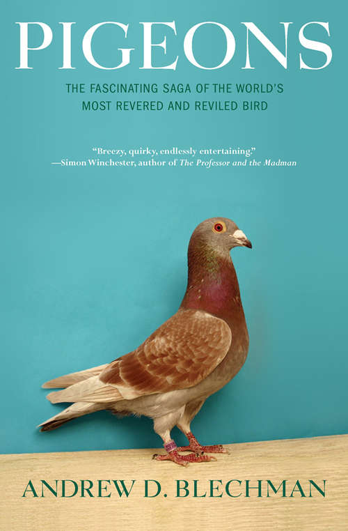 Book cover of Pigeons: The Fascinating Saga of the World's Most Revered and Reviled Bird