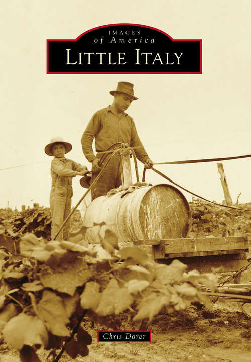 Book cover of Little Italy
