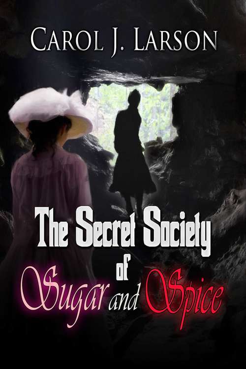 The Secret Society Of Sugar And Spice
